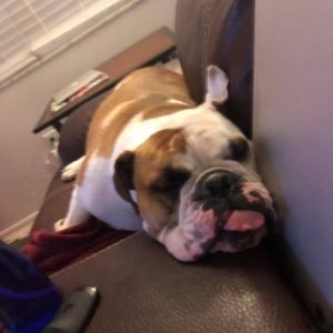 Meet your Posher, Scott